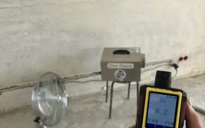 Ozonowanie po zalaniu