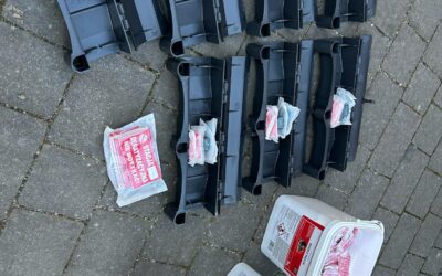 Deratyzacja , Zwalczanie Gryzoni , likwidacja szczurów i myszy